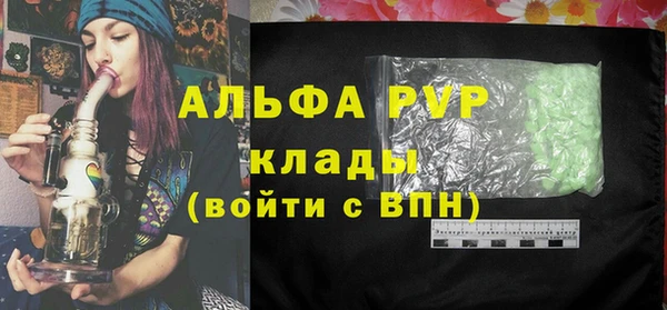 PSILOCYBIN Аркадак