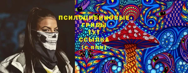 PSILOCYBIN Аркадак
